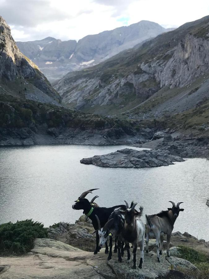 Appartement GAVARNIE Résidence Les 3 Cirques Gèdre Esterno foto